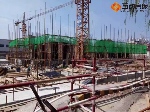 图片5