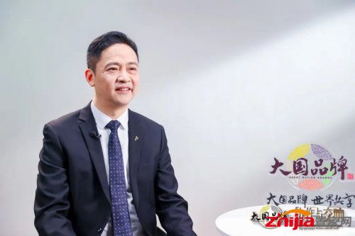 载誉前行！云峰莫干山荣膺年度品牌，携手行业共筑绿色未来