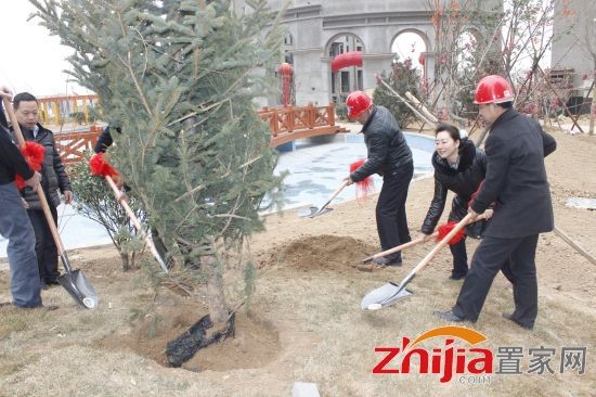 月亮湾倡导低碳绿色生活　3月12日开展公益植树活动