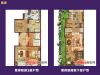 置多星推房紫岸 联排户型图