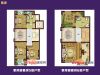 置多星推房紫岸 叠拼户型图