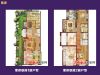 置多星推房紫岸 联排户型图