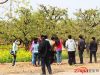 荣盛物业千人业主“畅游梨乡共享梨园春”活动——拍照留念