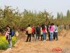 荣盛物业千人业主“畅游梨乡共享梨园春”活动——自由活动