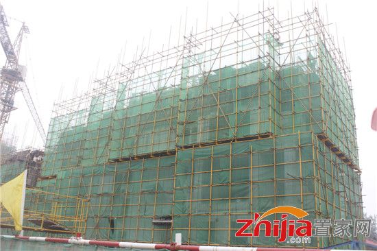 宜家花园西区楼体已经盖至8层 东区楼体已经盖至10层