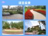 项目实景