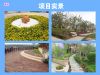 项目实景
