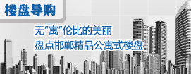 无“寓”伦比的美丽 盘点邯郸精品公寓式楼盘