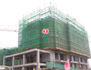 龙仕·公园里工程进度神速 现已盖至第5层