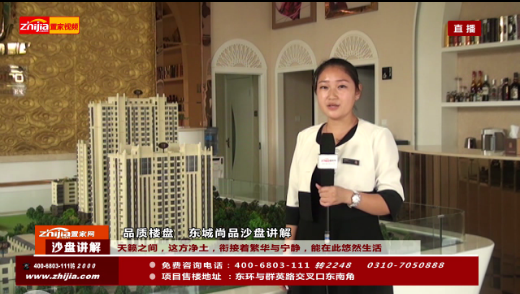 东城尚品沙盘讲解