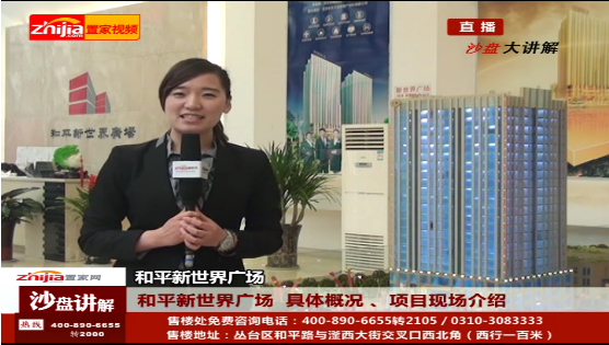和平新世界广场沙盘讲解