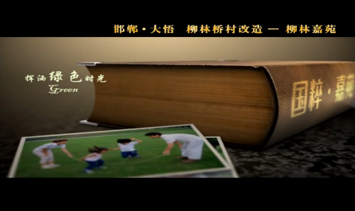 柳林国粹嘉苑项目介绍