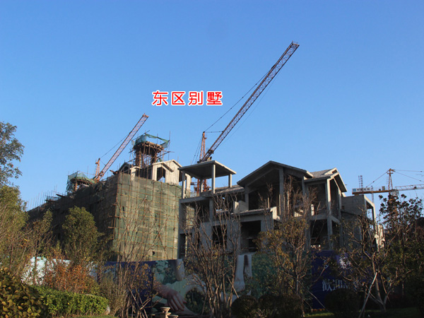 现代城市田园生活区-紫岸 项目施工稳步进行中