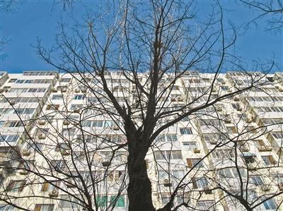 降息加速北京楼市复苏 二手房咨询量两天涨两成