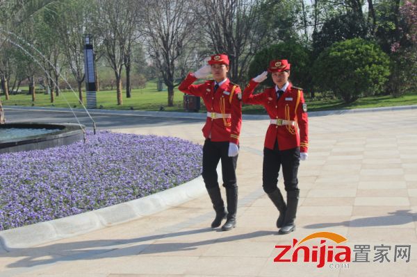春暖四月 绚丽时节 阳光东尚园林示范区璀璨开放