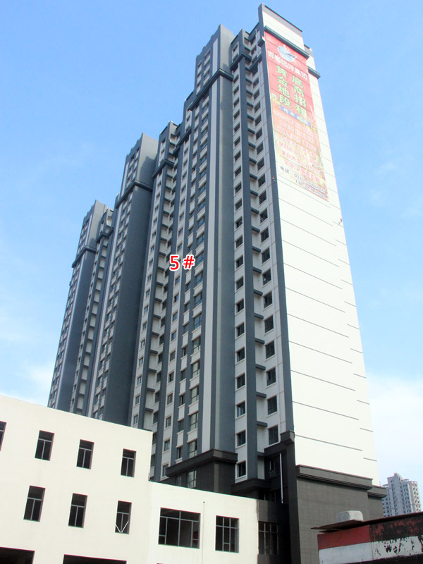 远洋新兴公馆交房在即 回填土作业火热进行中