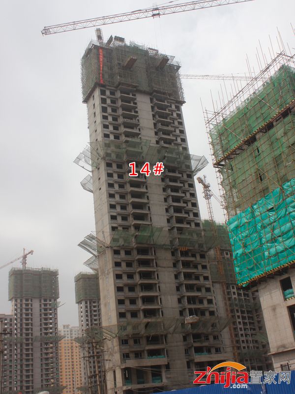 14#楼