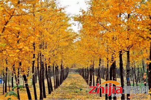 2016中国名村排行榜发布 河北15个村庄上榜