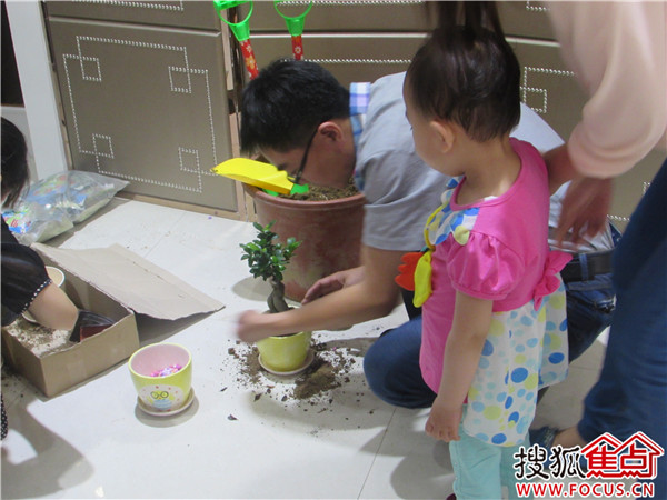 北斗星城东区/御府“赞美生命绿植DIY活动”现场