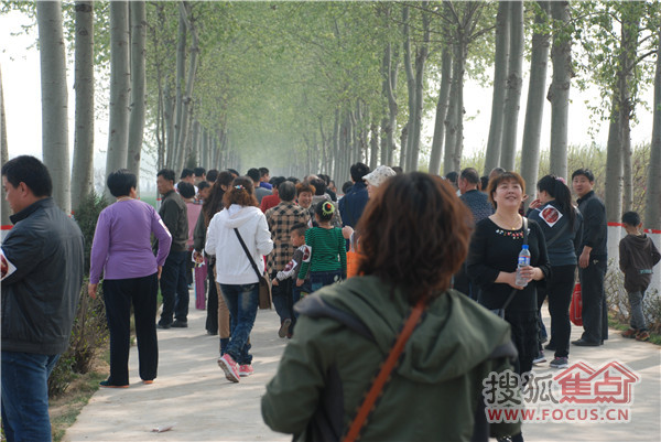衡水凯旋城新天地举办的“相伴春天绿色行”业主踏春采摘活动图片