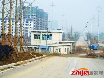 “房坚强”站在路中央已近3年。