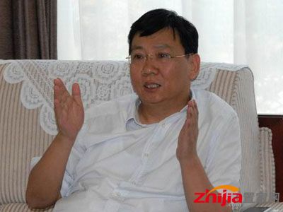 国家税务总局总会计师汪康