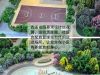 运动场