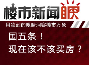 楼市新闻眼第二十期:国五条!现在该不该买房?