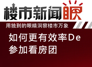 楼市新闻眼第二十四期:如何更有效率的参加看房团
