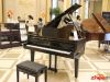 施坦威皇冠珠宝系列钢琴在奥北公元售楼部展出