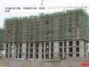 龙强印象11号楼进度