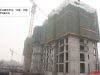 玫瑰湾1#楼项目进度