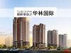 图解楼盘之华林国际