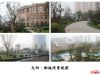 天阳·御珑湾实景图