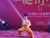 国仕山一期小业主武术表演