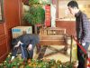 工作人员为业主挑选绿植