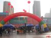中国·石家庄第十一届观赏石博览会开幕式现场