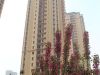 天阳御珑湾布恩宫实景