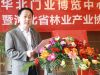 活动主持人