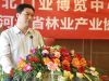 吉林兄弟木业有限公司总工程师 杨树明讲话