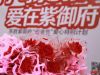 爱在紫御府