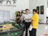 客户参观项目沙盘