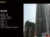 翰林观天下基本信息