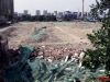 石家庄常山纺织股份有限公司棉三分公司厂区拆迁工作及地面清理工作完成