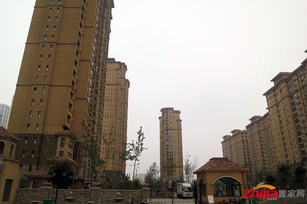 花香漫城实景