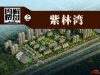效果图