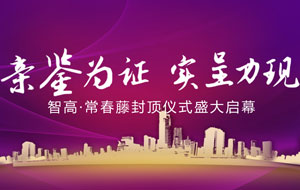 亲鉴为证 实力呈现 智高·常春藤封顶仪式盛大启幕