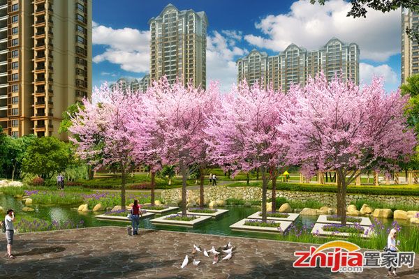 天洲视界城92-139㎡户型在售楼王主推四室