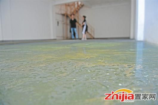 三百多万买栋别墅地下室漏水了 不保修备忘录遭质疑