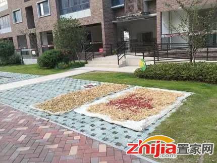 10年前你错过了房价疯涨 现在不要再错过买车库